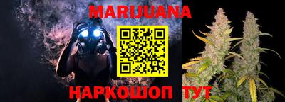 прущие грибы Кандалакша
