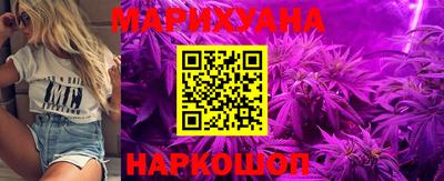 прущие грибы Кандалакша