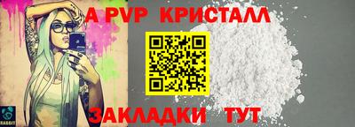 прущие грибы Кандалакша