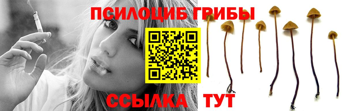 Галлюциногенные грибы мухоморы  Псилоцибиновые грибы GOLDEN TEACHER  Кропоткин  Вход с VPN 